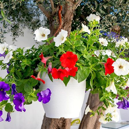 Villa Del Capo Suites Rhodes City Exteriör bild