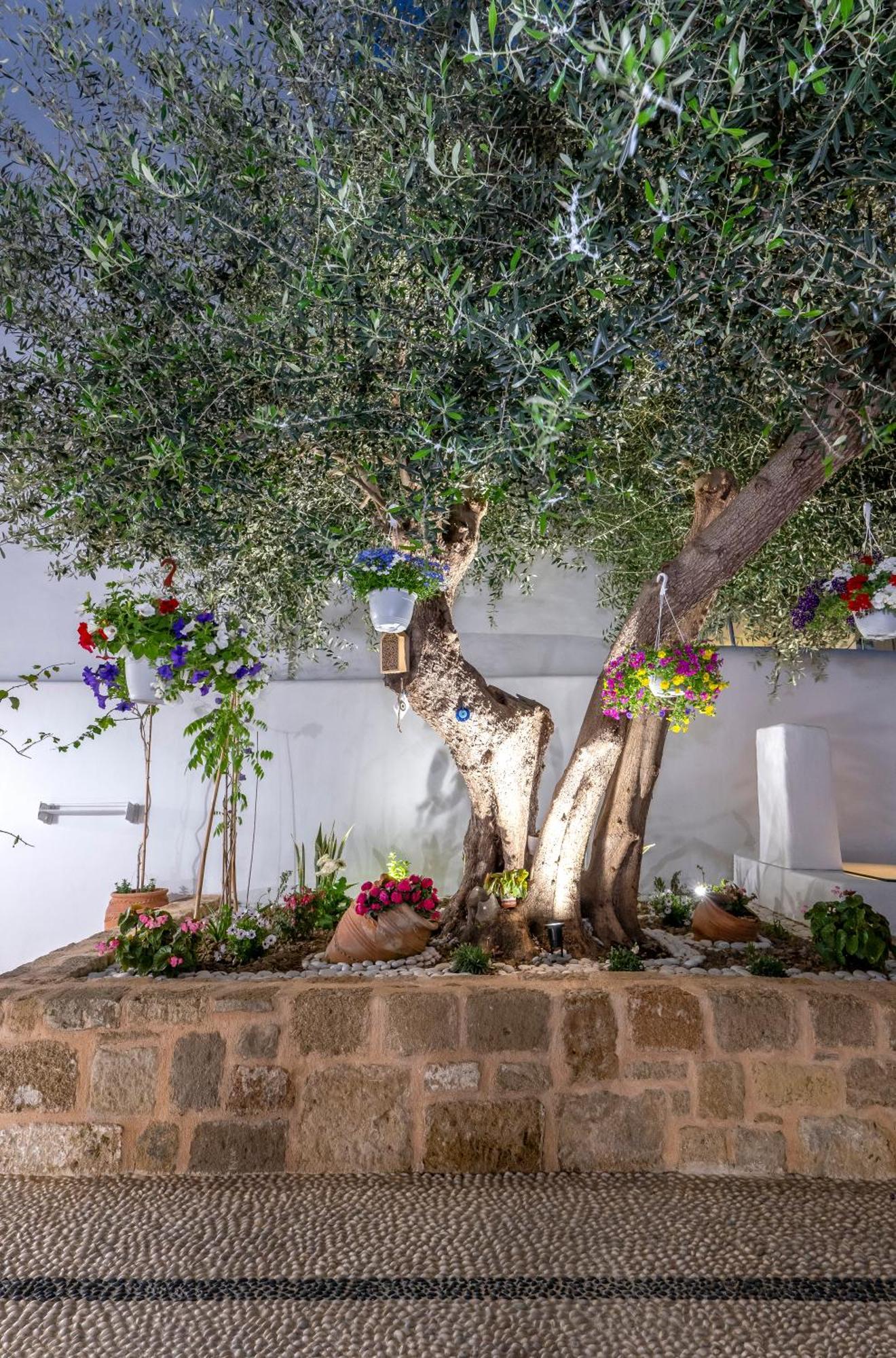 Villa Del Capo Suites Rhodes City Exteriör bild