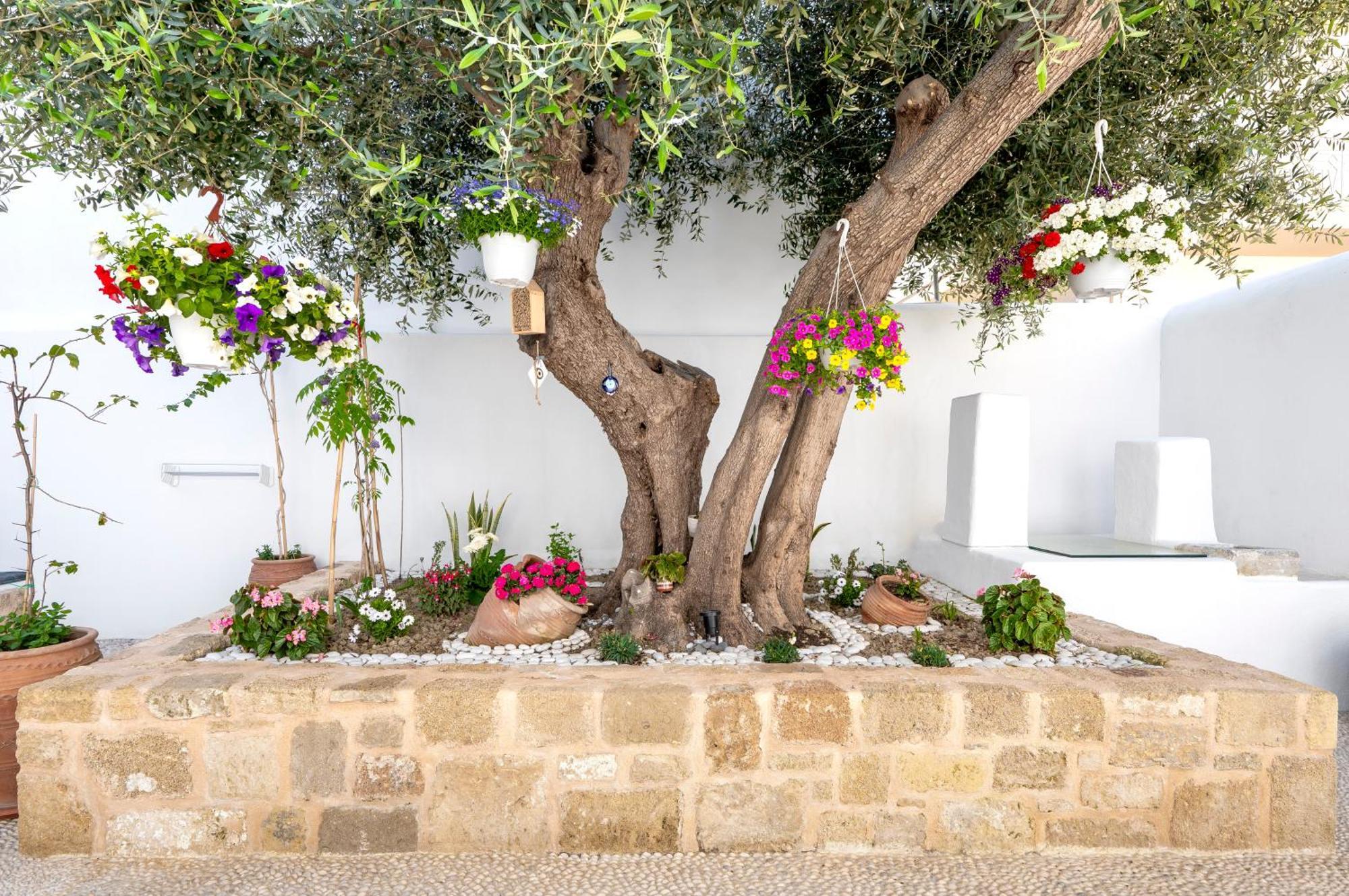 Villa Del Capo Suites Rhodes City Exteriör bild